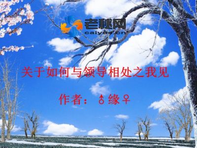 领导.jpg