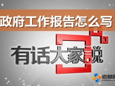 政府工作报告